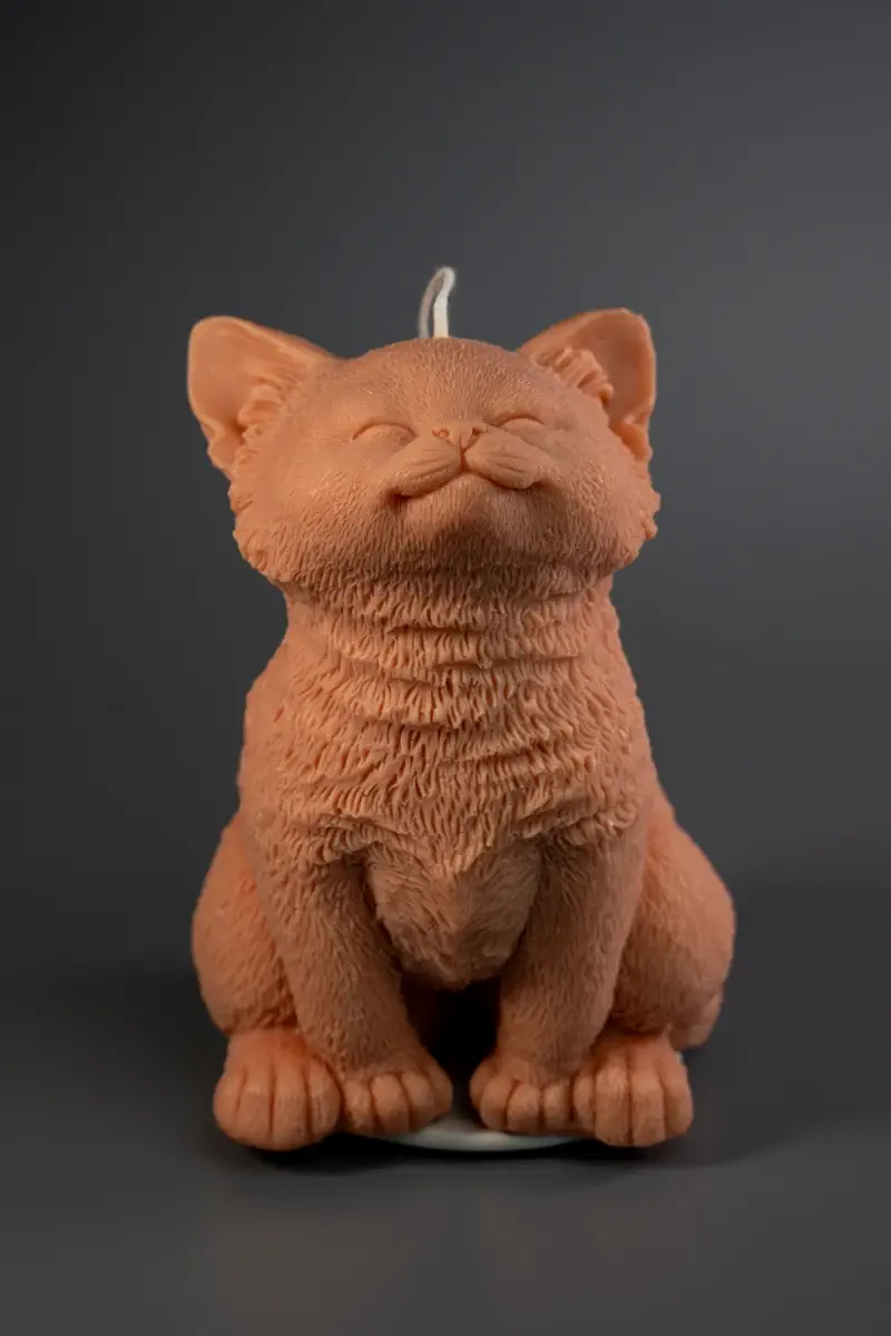 Счастливый кот