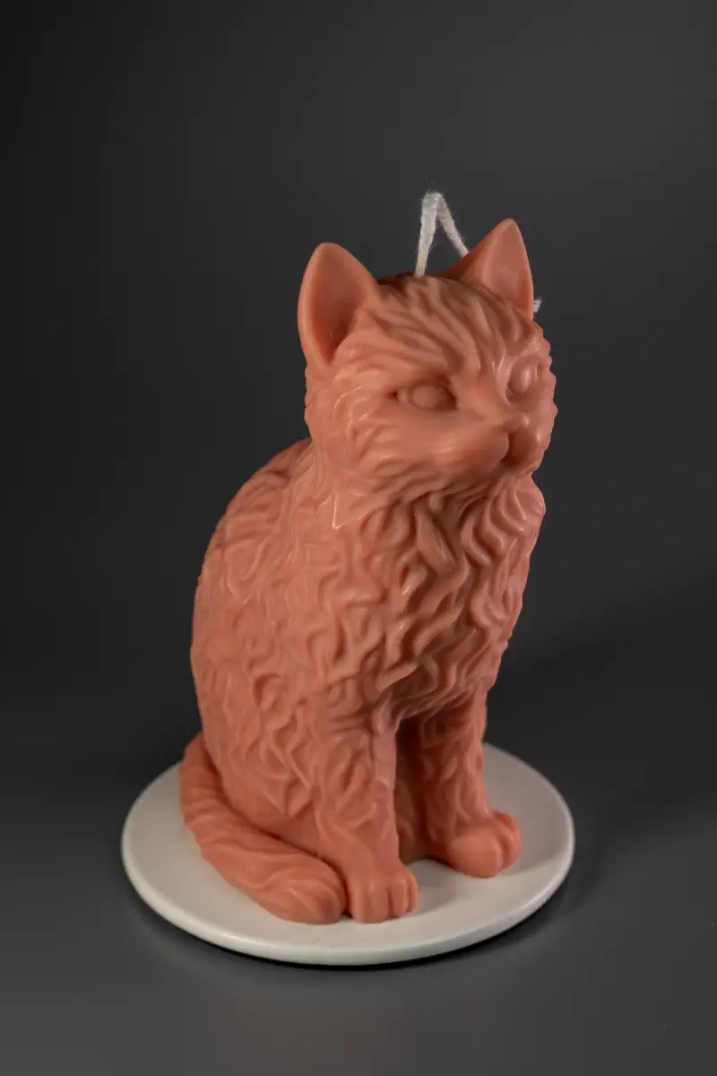 Кошка с волнистой шерстью