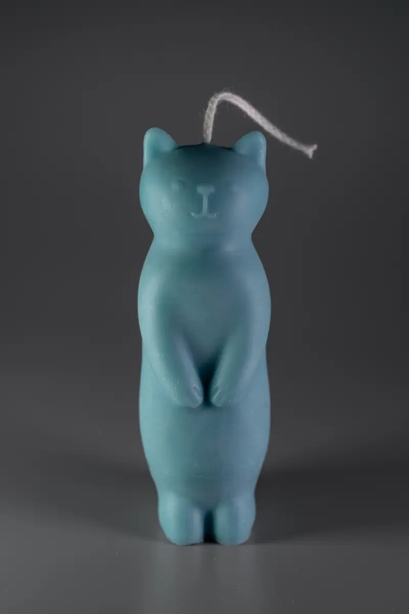 Котик