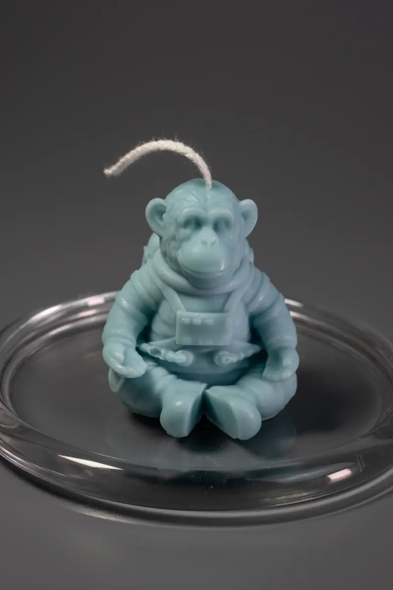 Космо-обезьяна